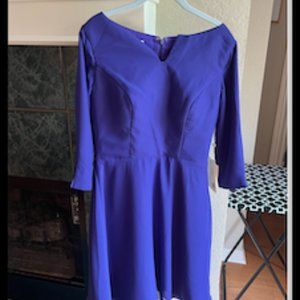 Beautiful Purple Mother of the Bride/Groom Dress, Petite, Size 8–10